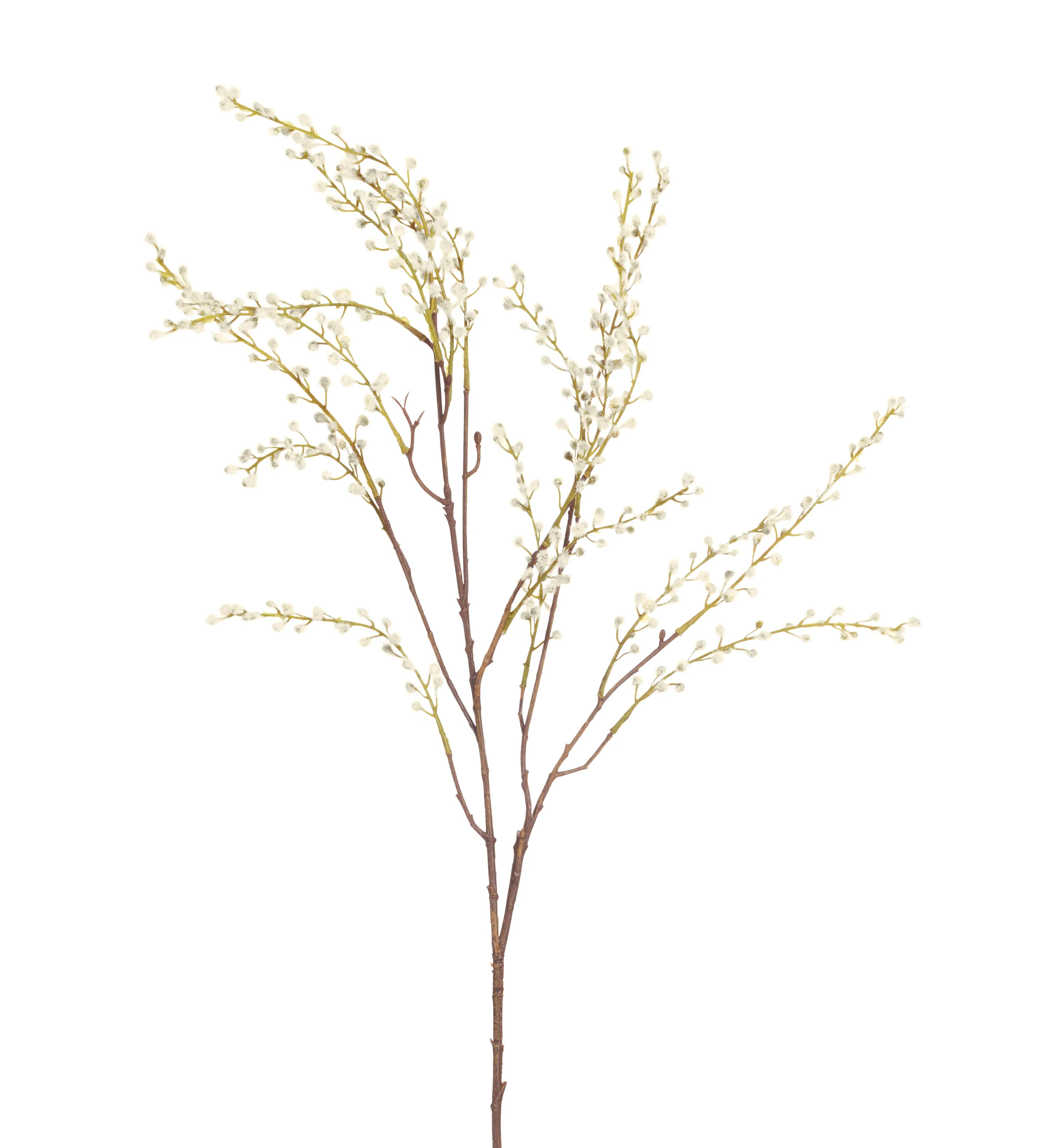 Faux Pussy Willow Branch - Off-White image