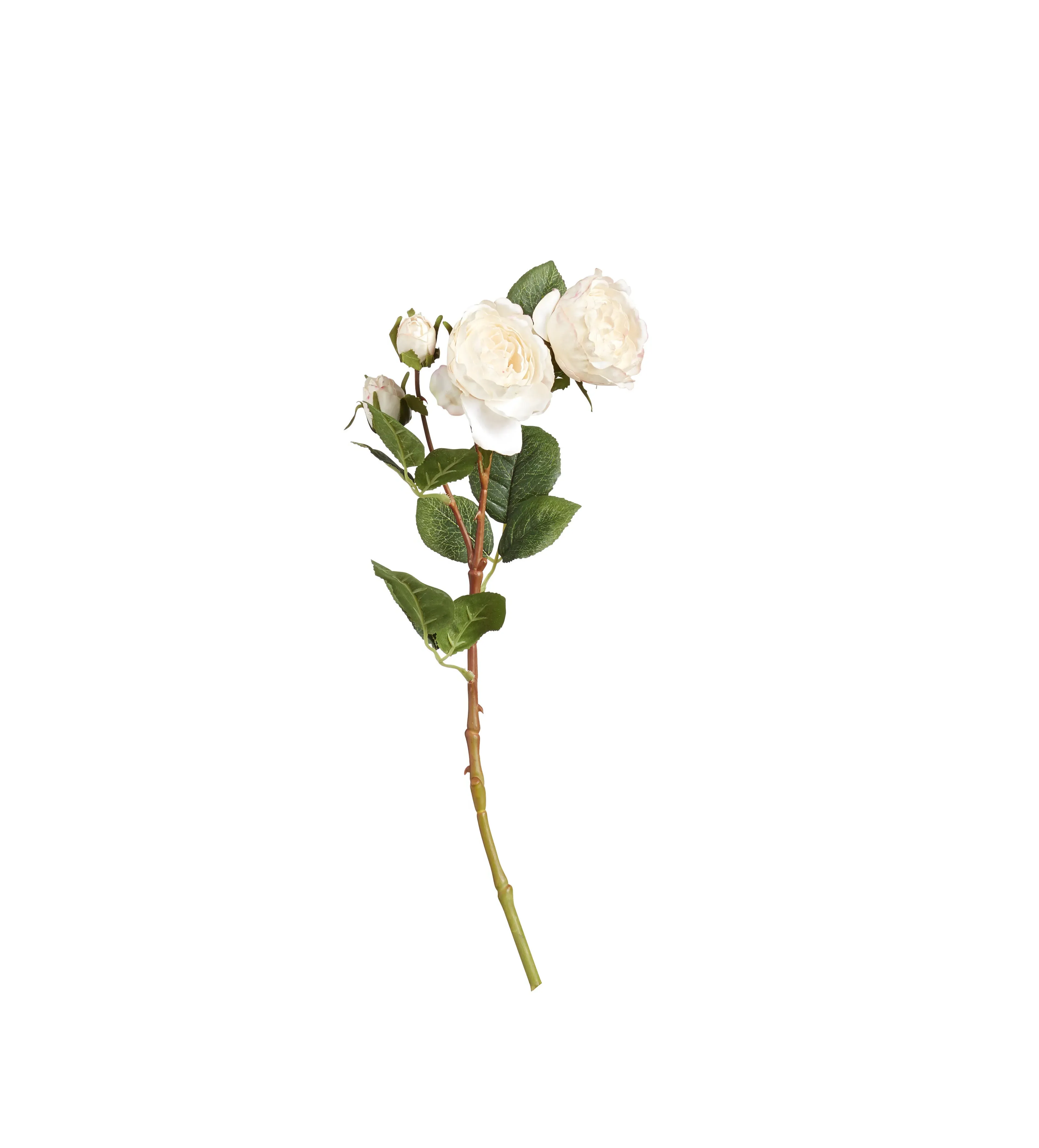 Faux Rose Stem - Flushed Cream, Artificial
