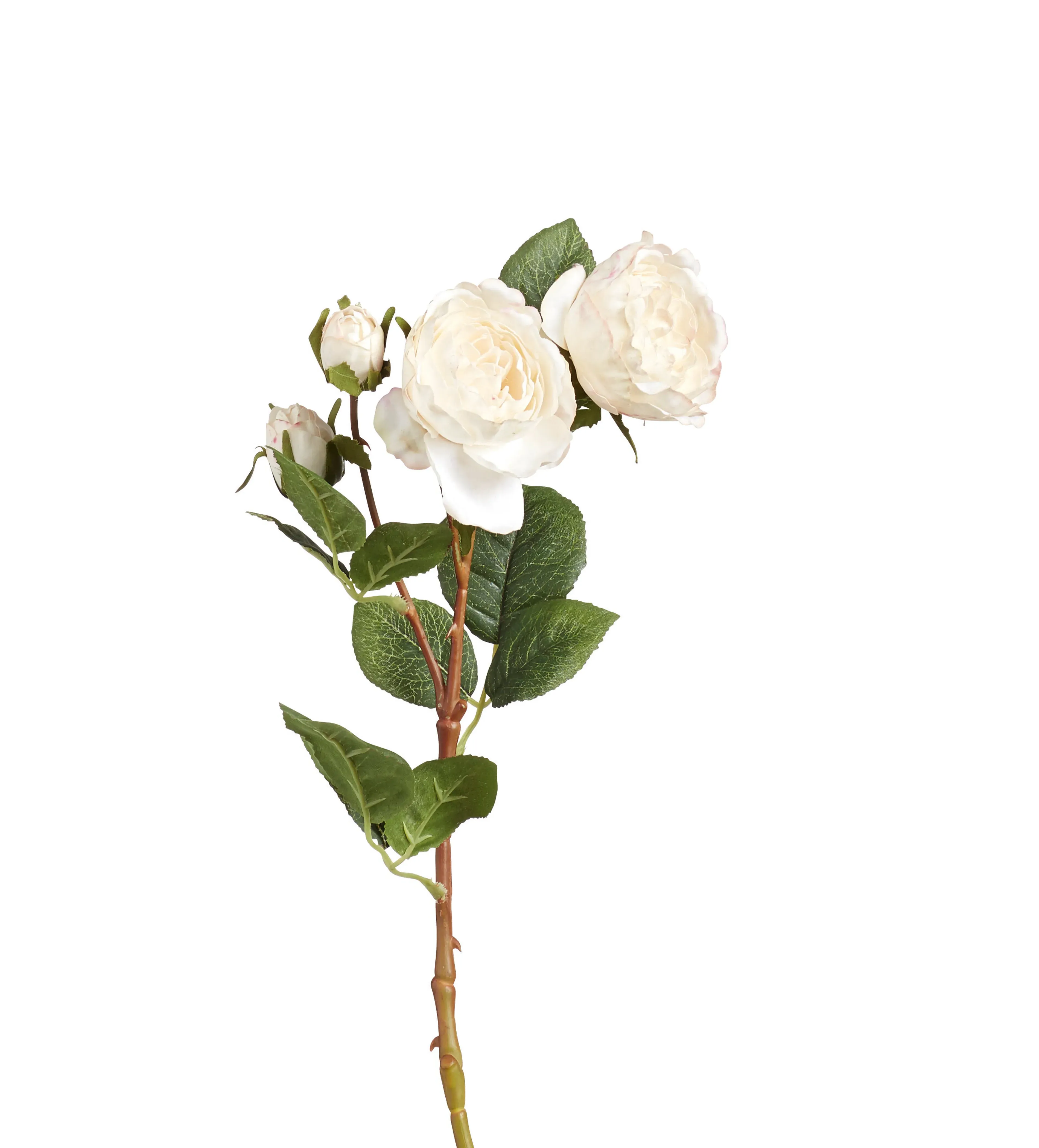 Faux Rose Stem - Flushed Cream, Artificial image