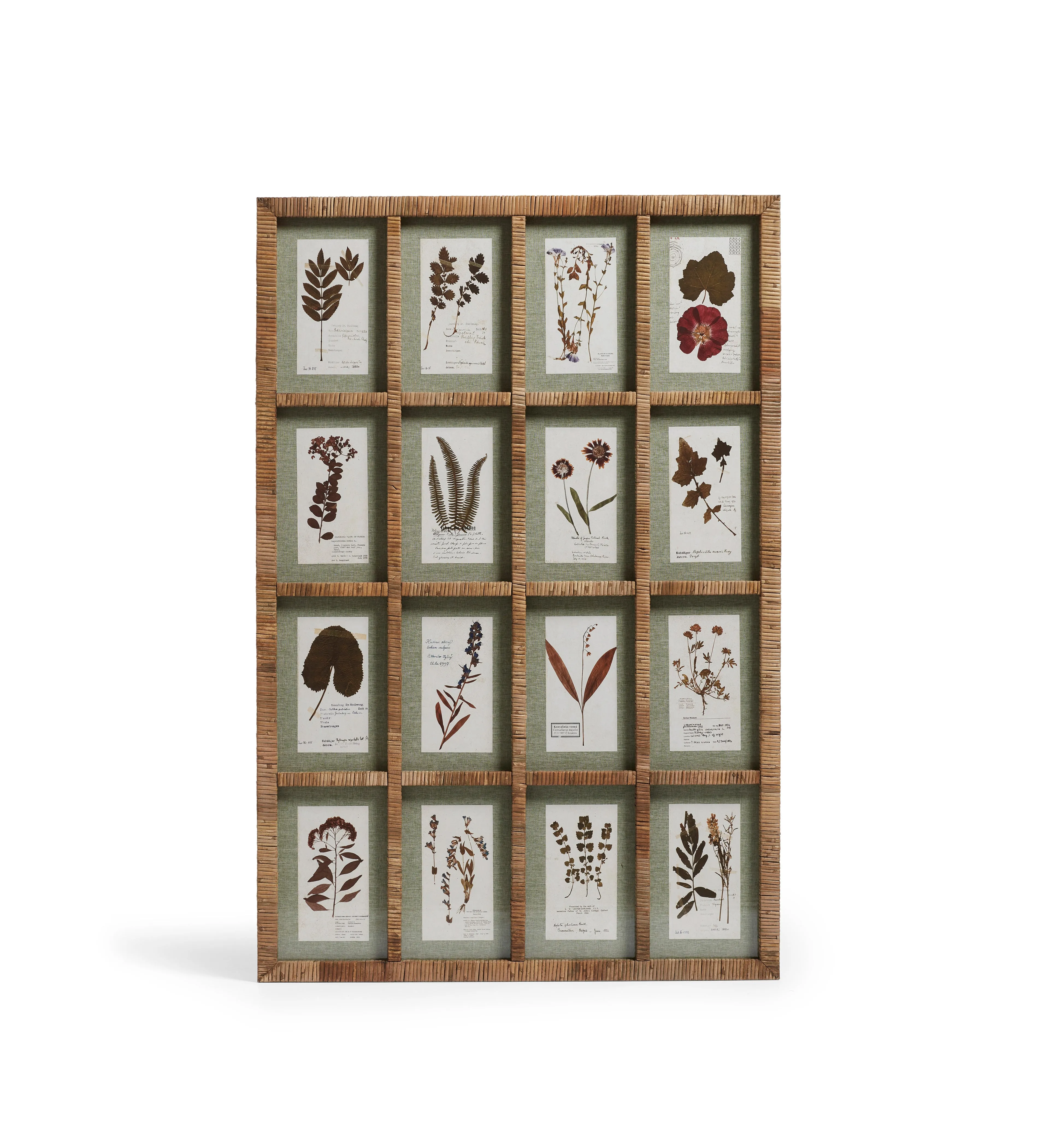 Framed Floral Prints Set - Natural, Rattan image