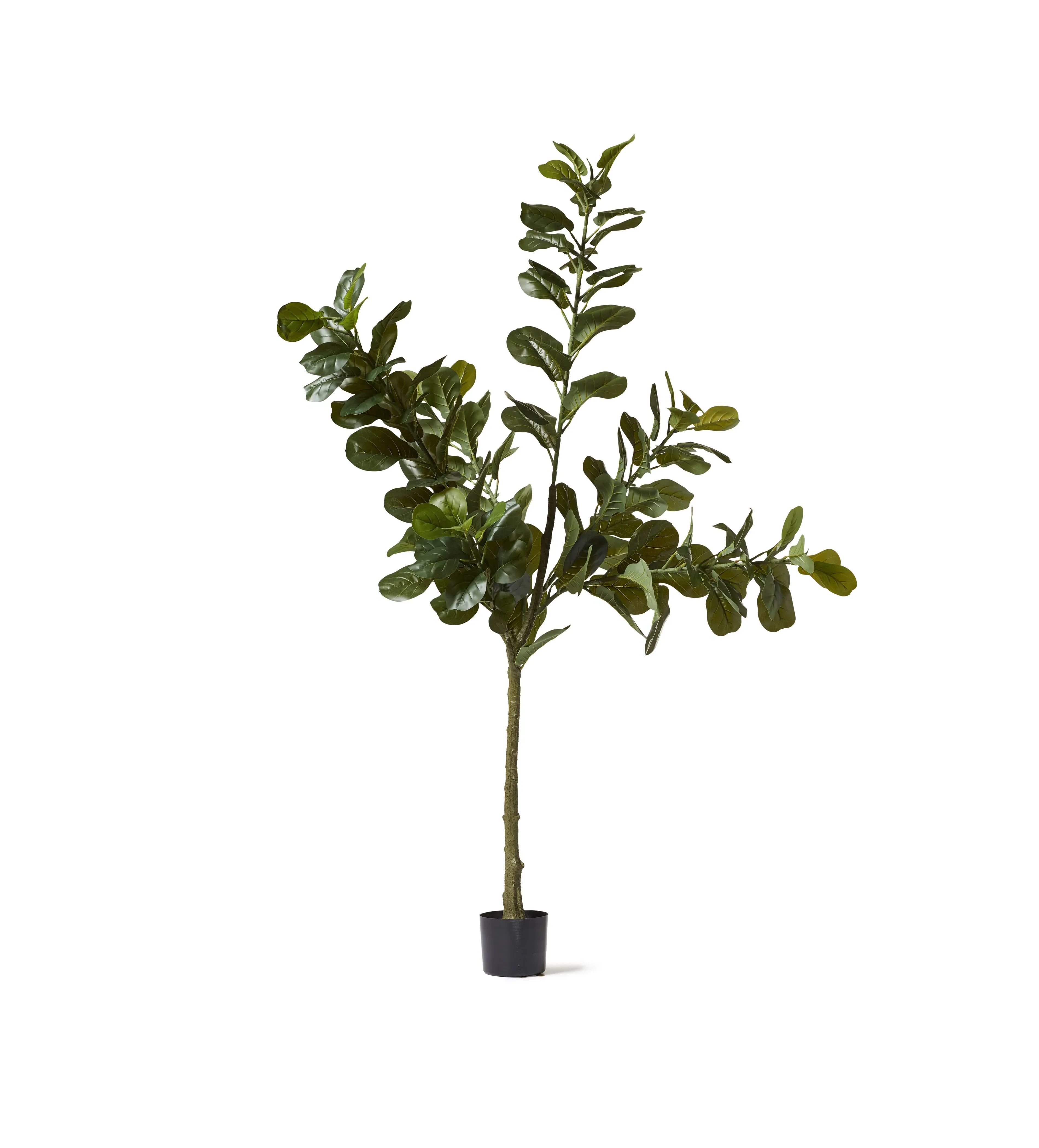 Large Faux Fiddle Plant - Green, Artificial image