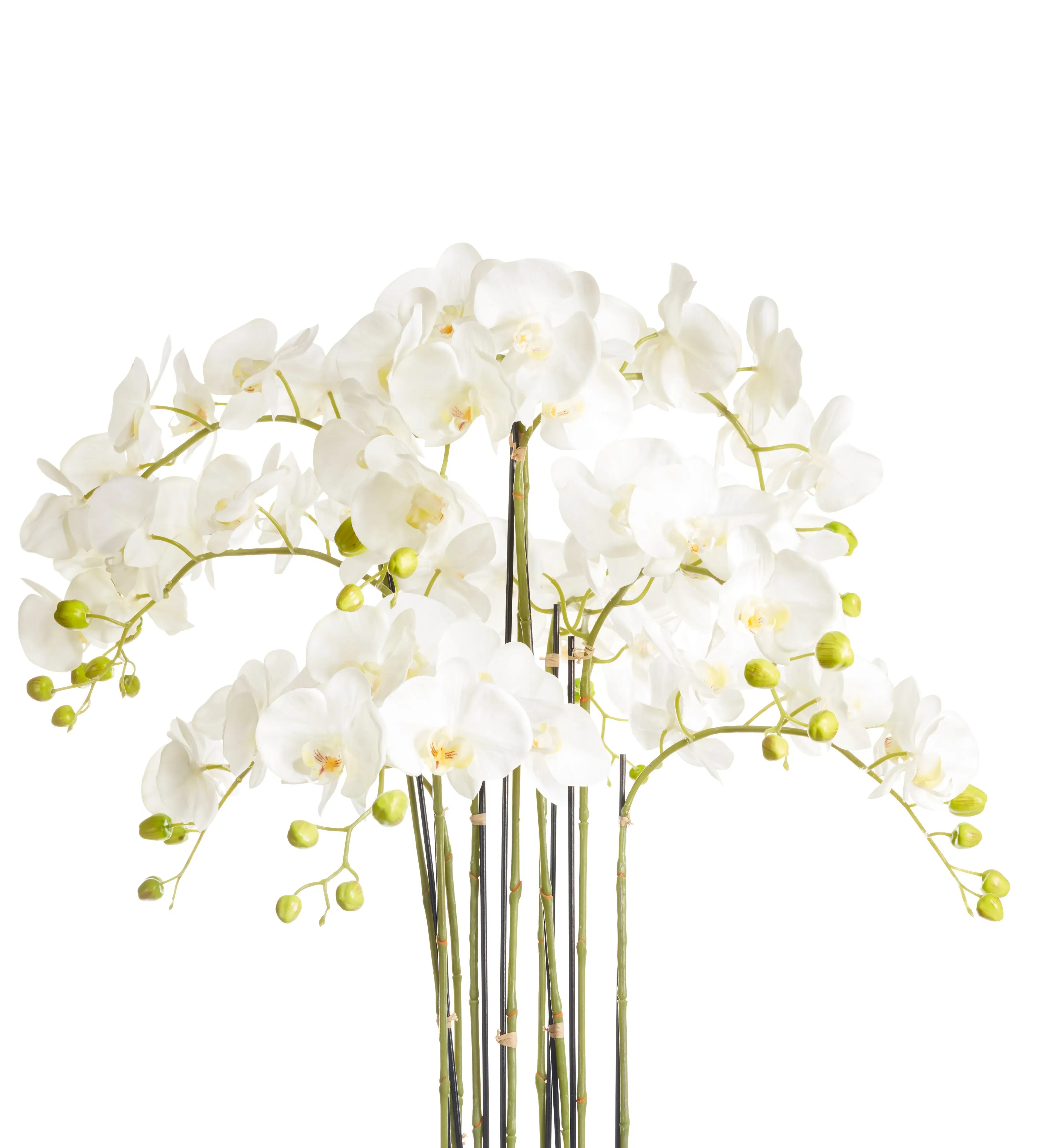 Large Faux Phalaenopsis Orchid - White