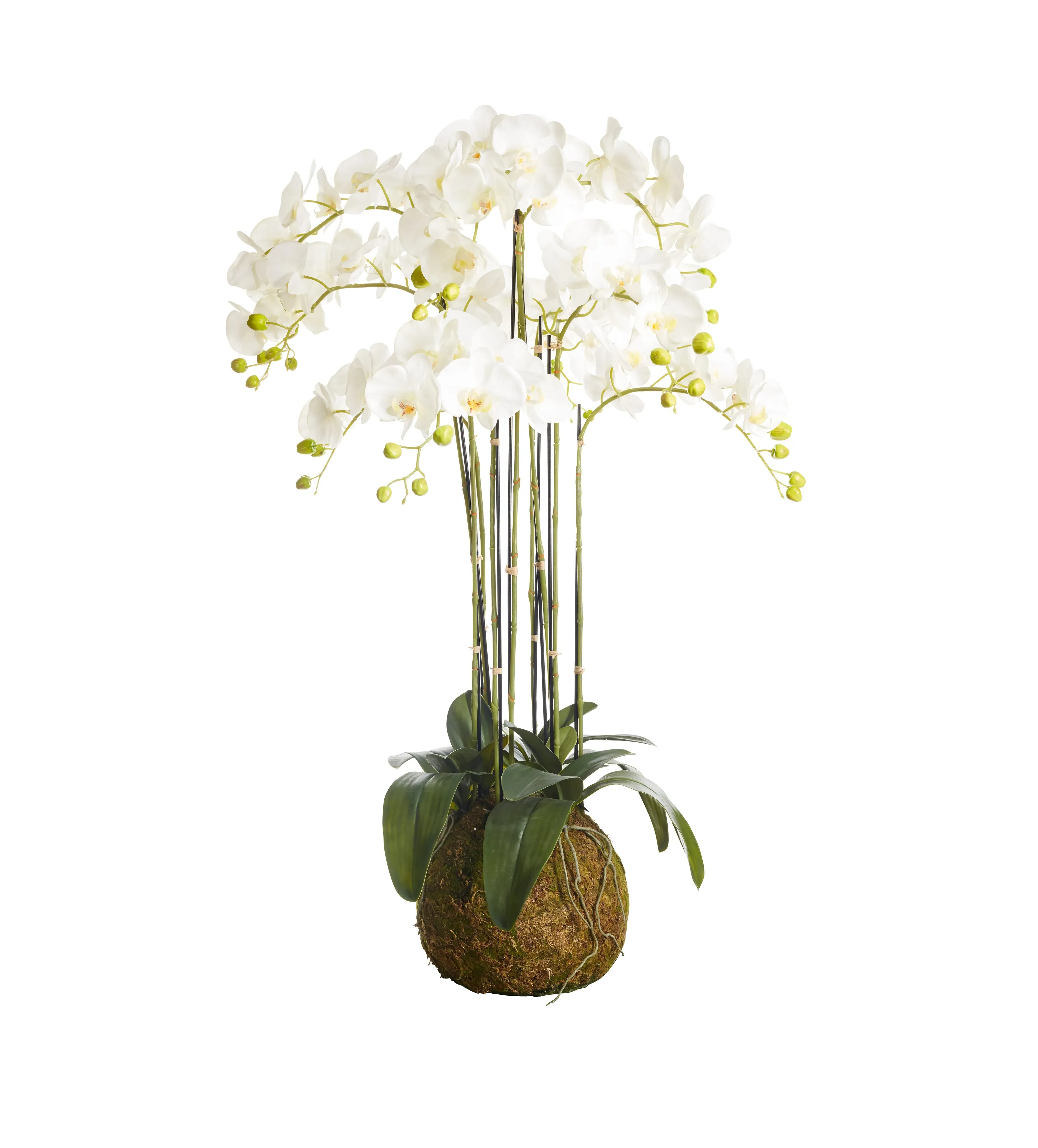 Large Faux Phalaenopsis Orchid - White