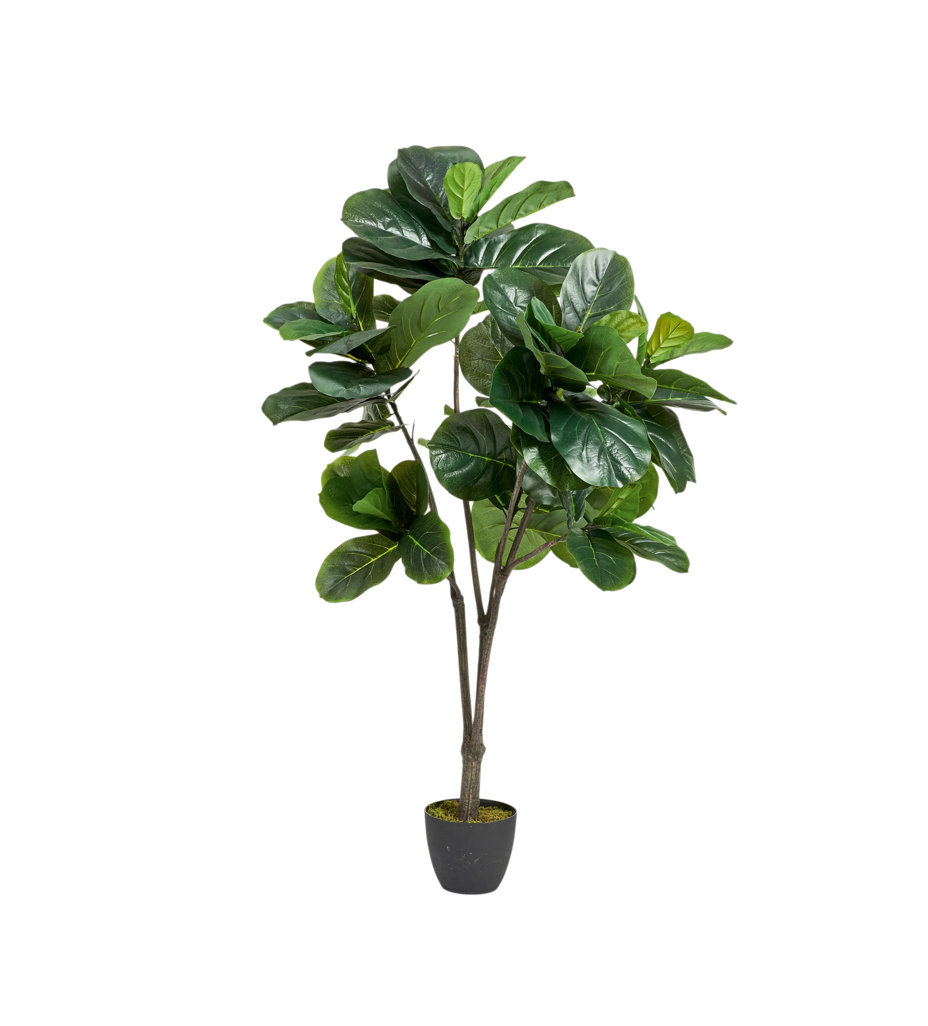 Medium Faux Fiddle Plant - Green, Artificial image