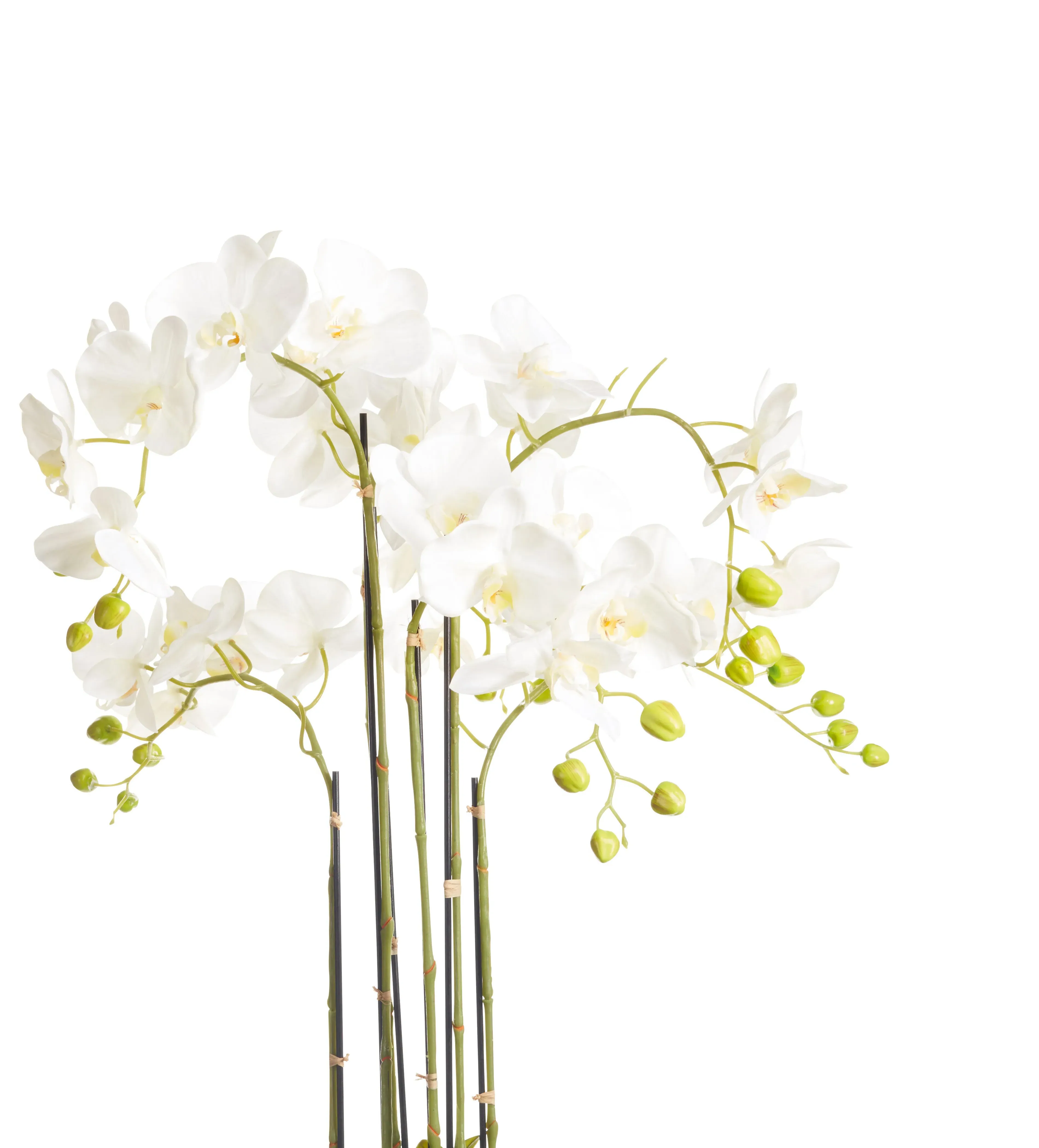 Medium Faux Phalaenopsis Orchid - White