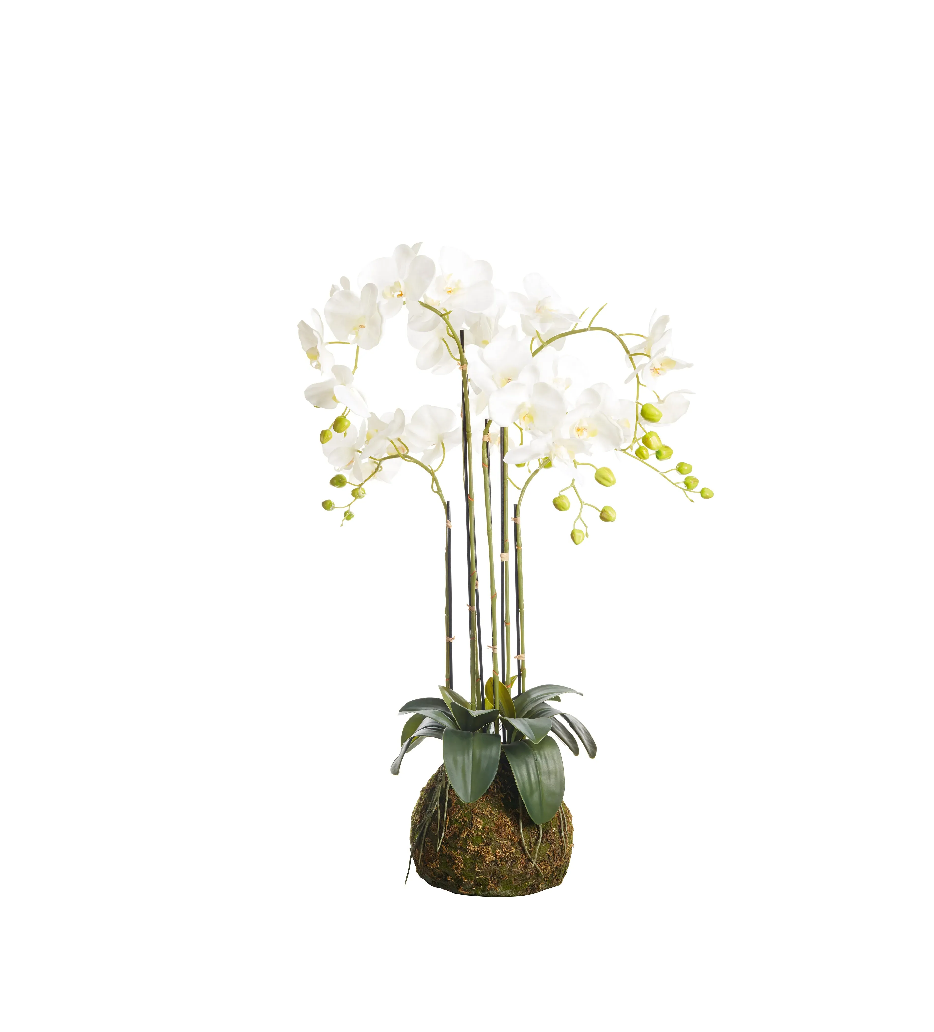 Medium Faux Phalaenopsis Orchid - White image