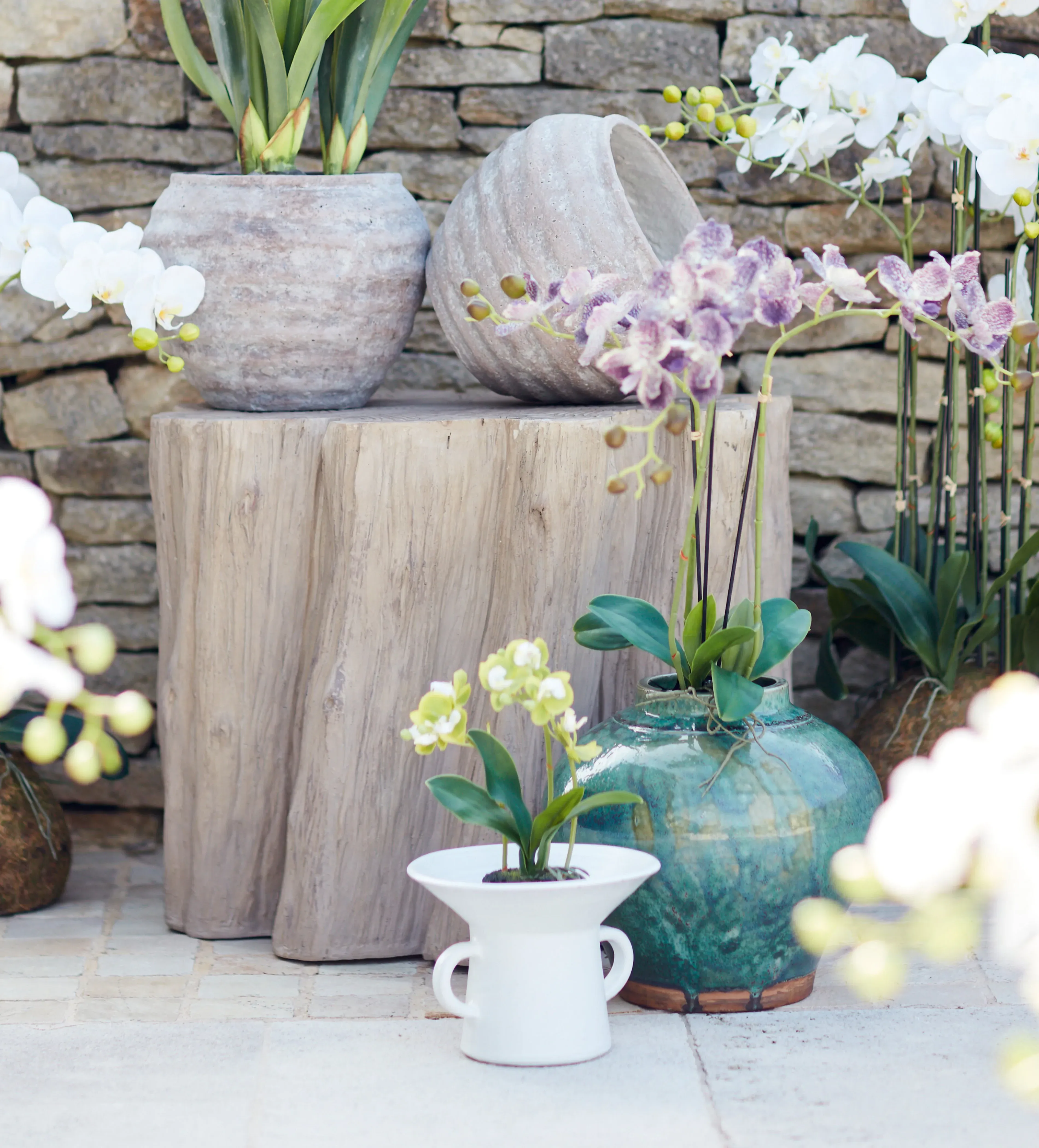Mini Orchid Plant - Green, Faux