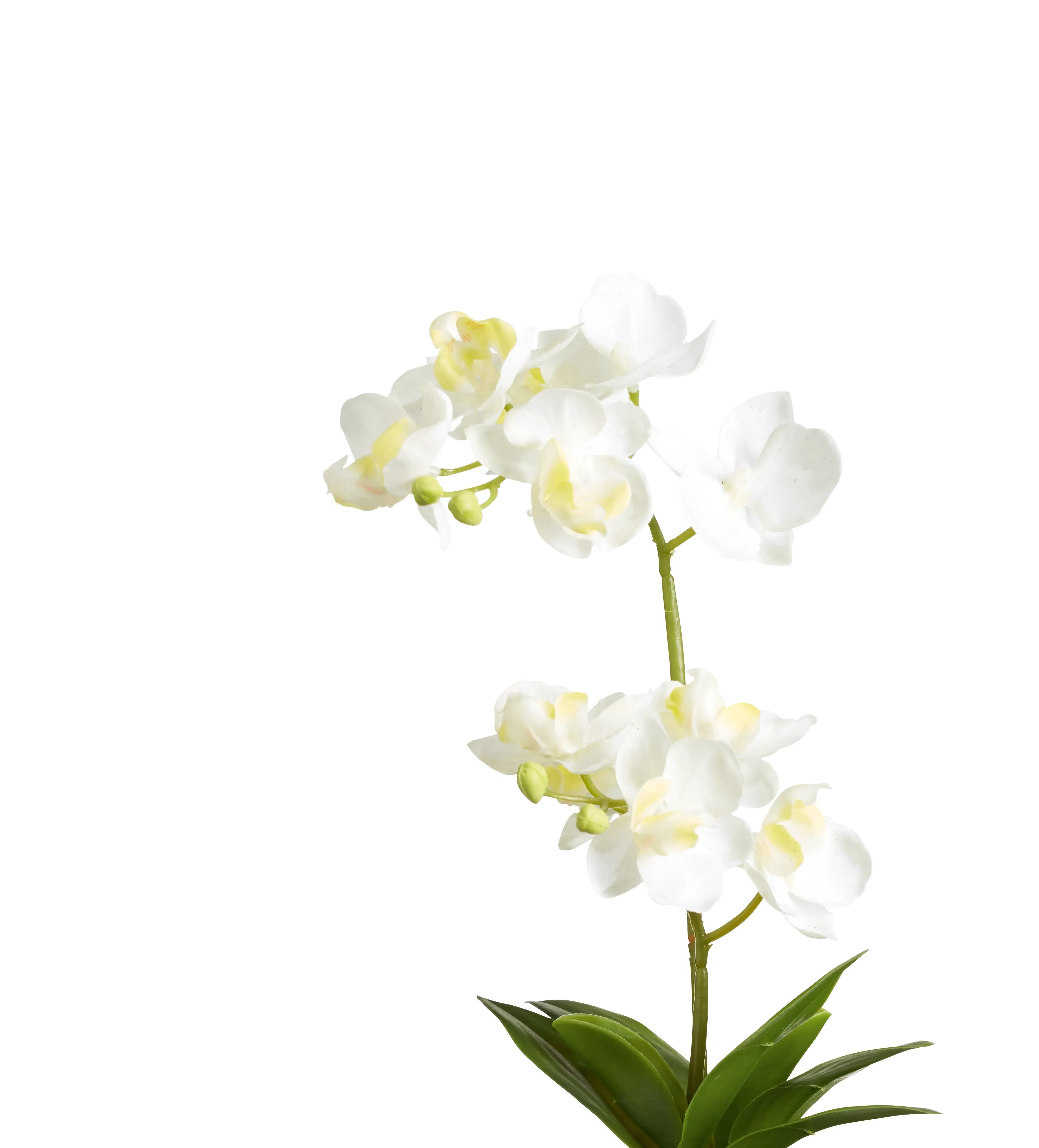 Mini Potted Orchid - White, Faux Plant
