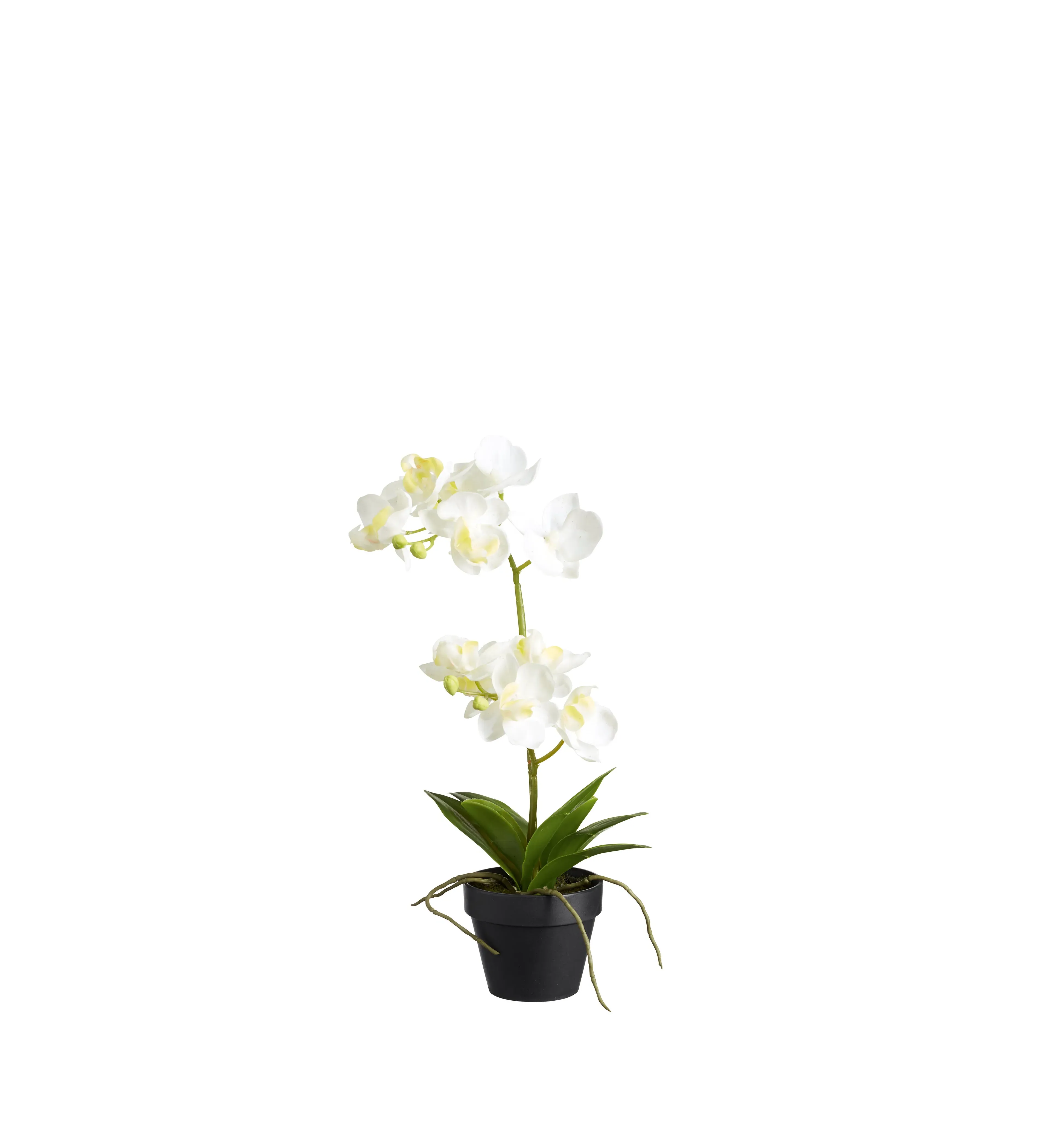 Mini Potted Orchid - White, Faux Plant image