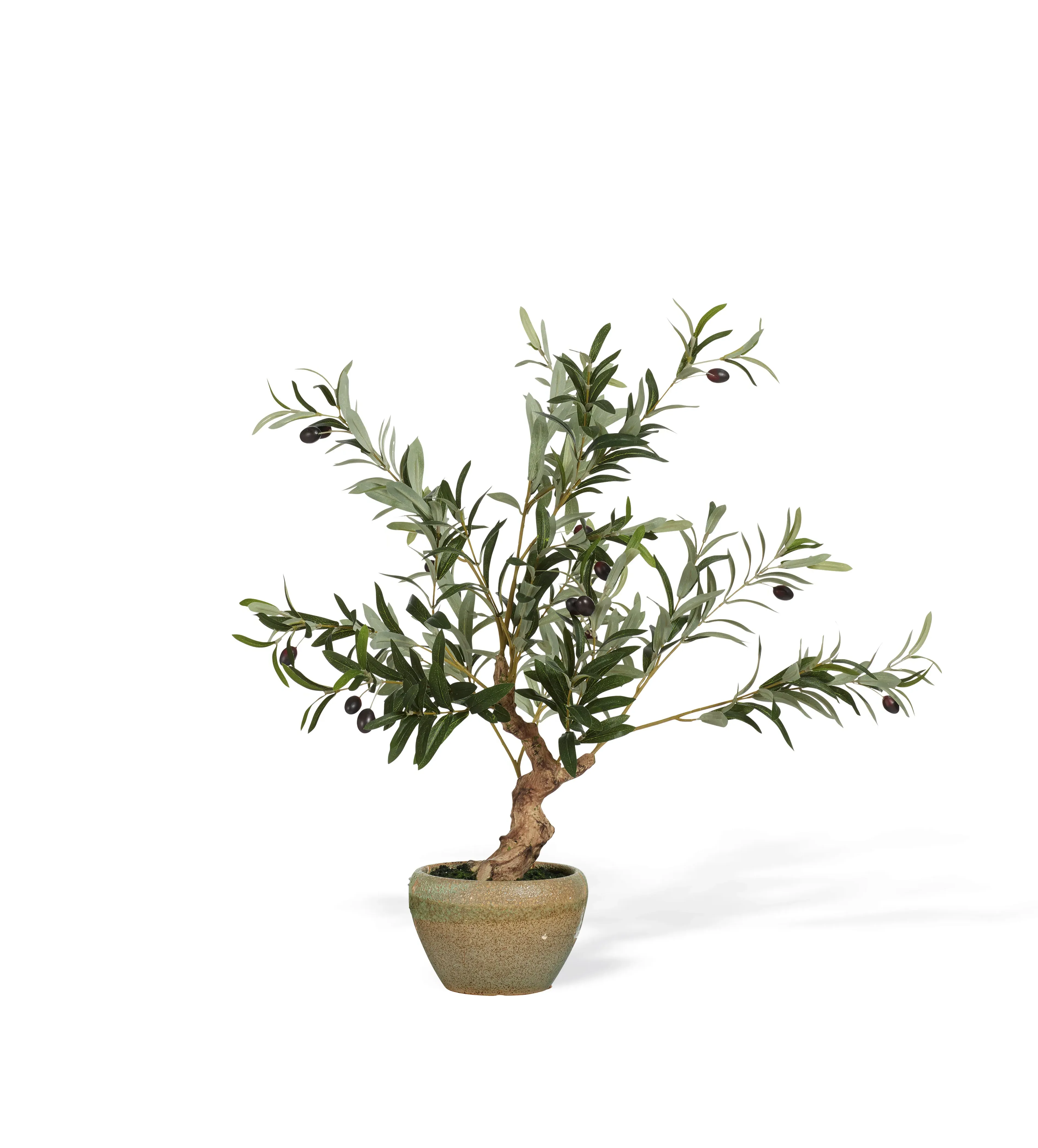 Miniature Olive Tree - Black, Faux image