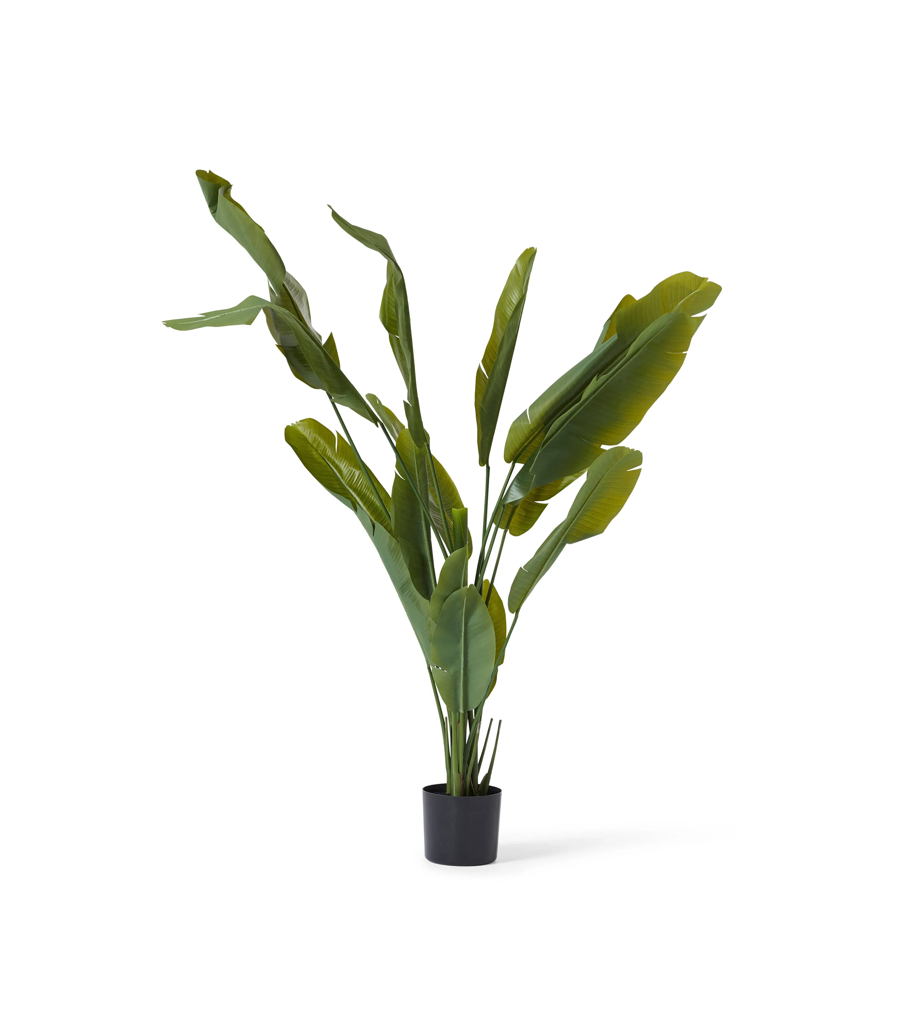 Potted Bird of Paradise Plant - Green, Faux image