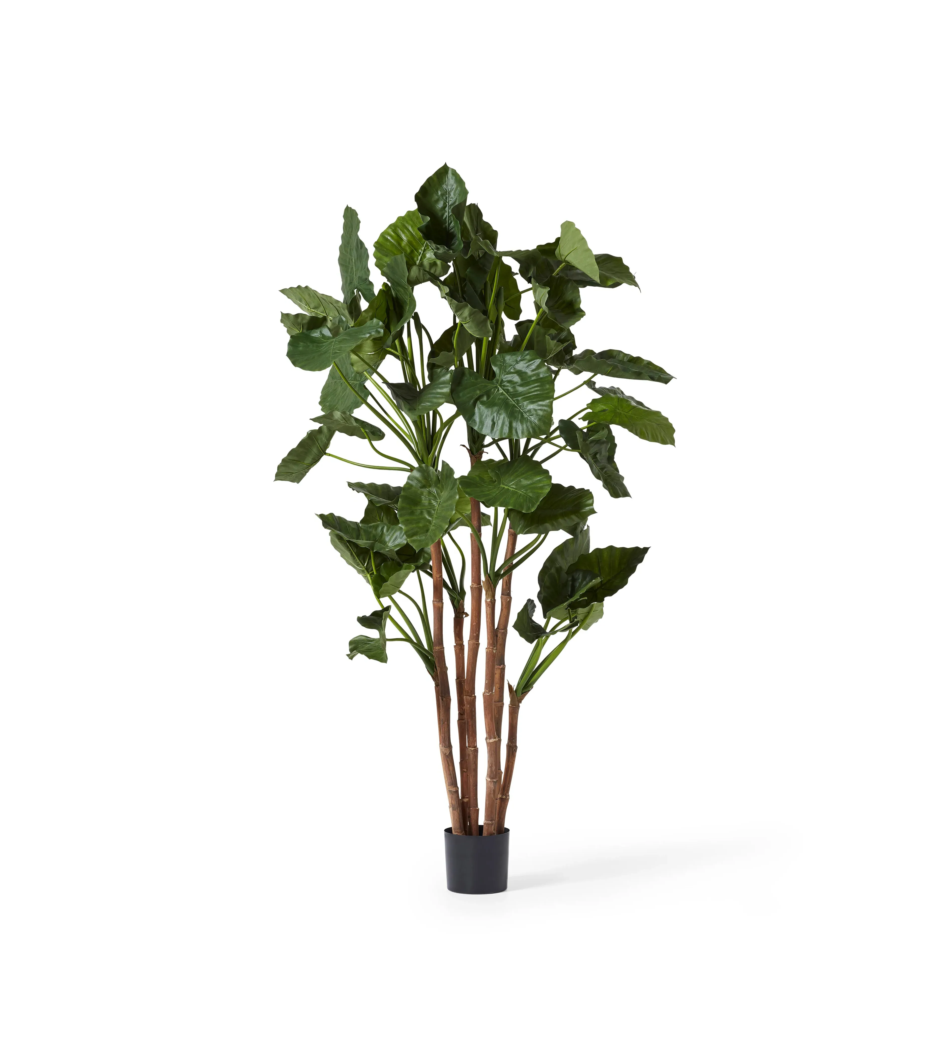 Potted Faux Alocasia Plant - Green, Artificial image