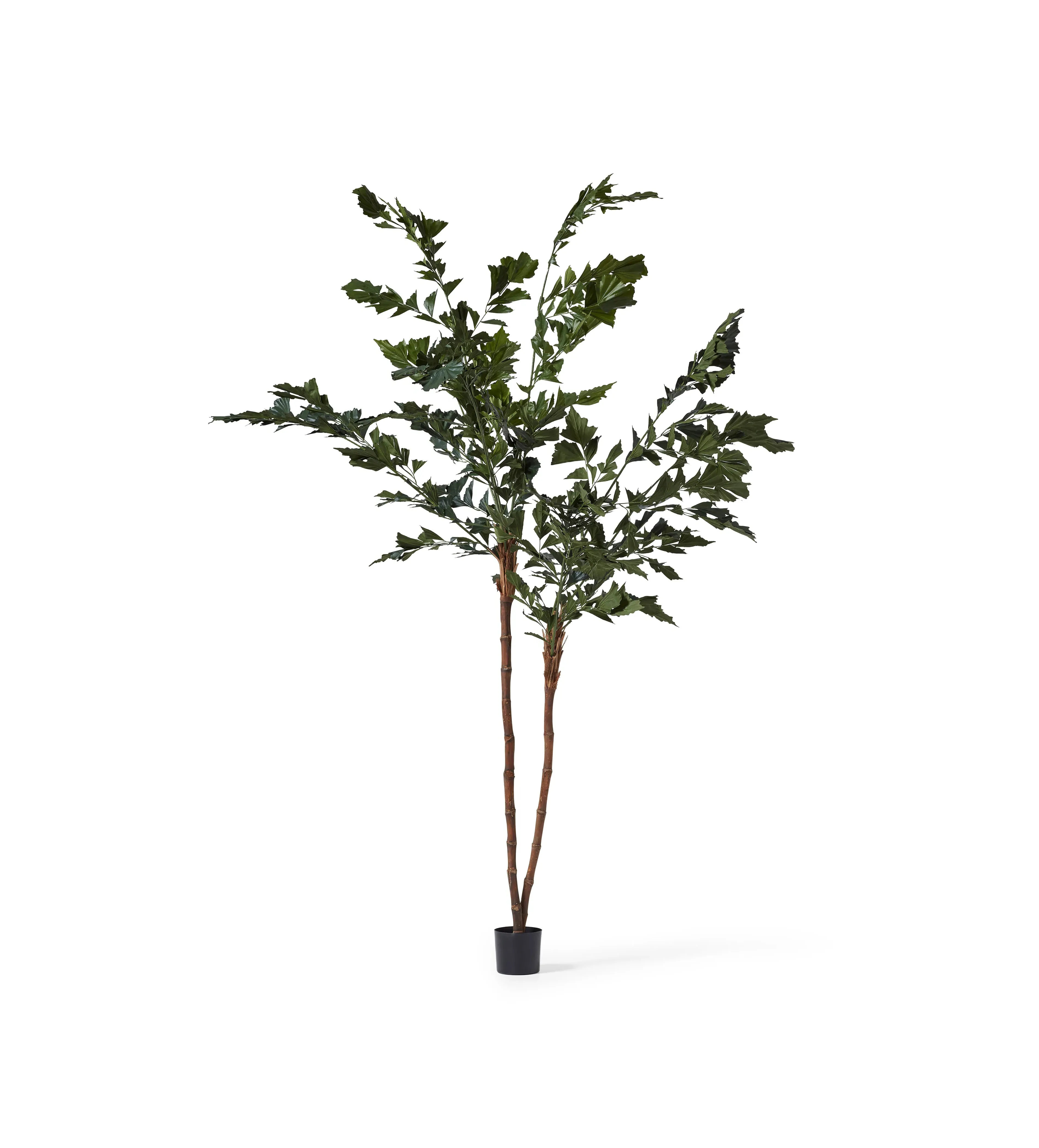 Potted Palm Tree - Green, Faux image