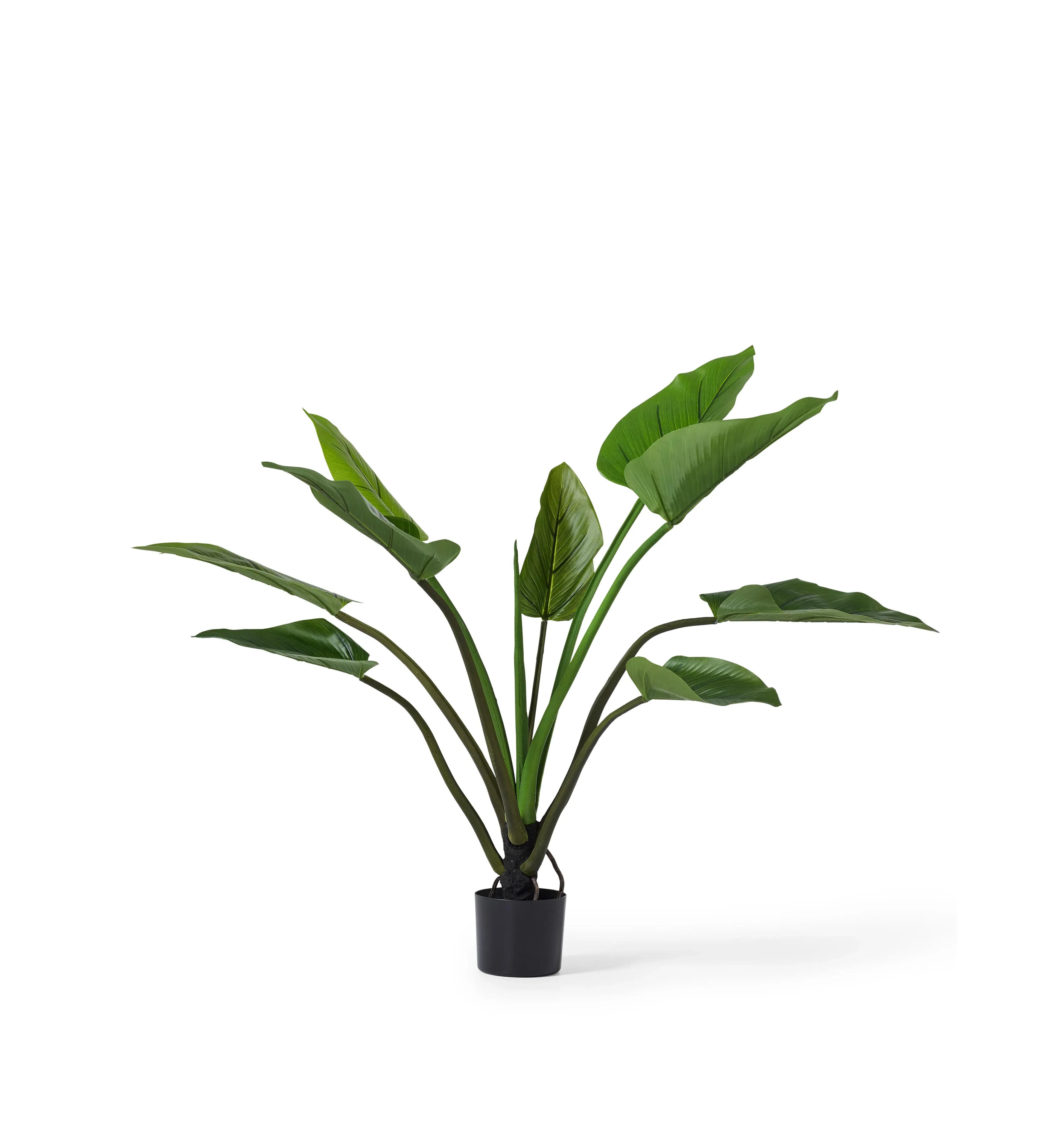 Potted Philodendron Plant - Green, Faux image