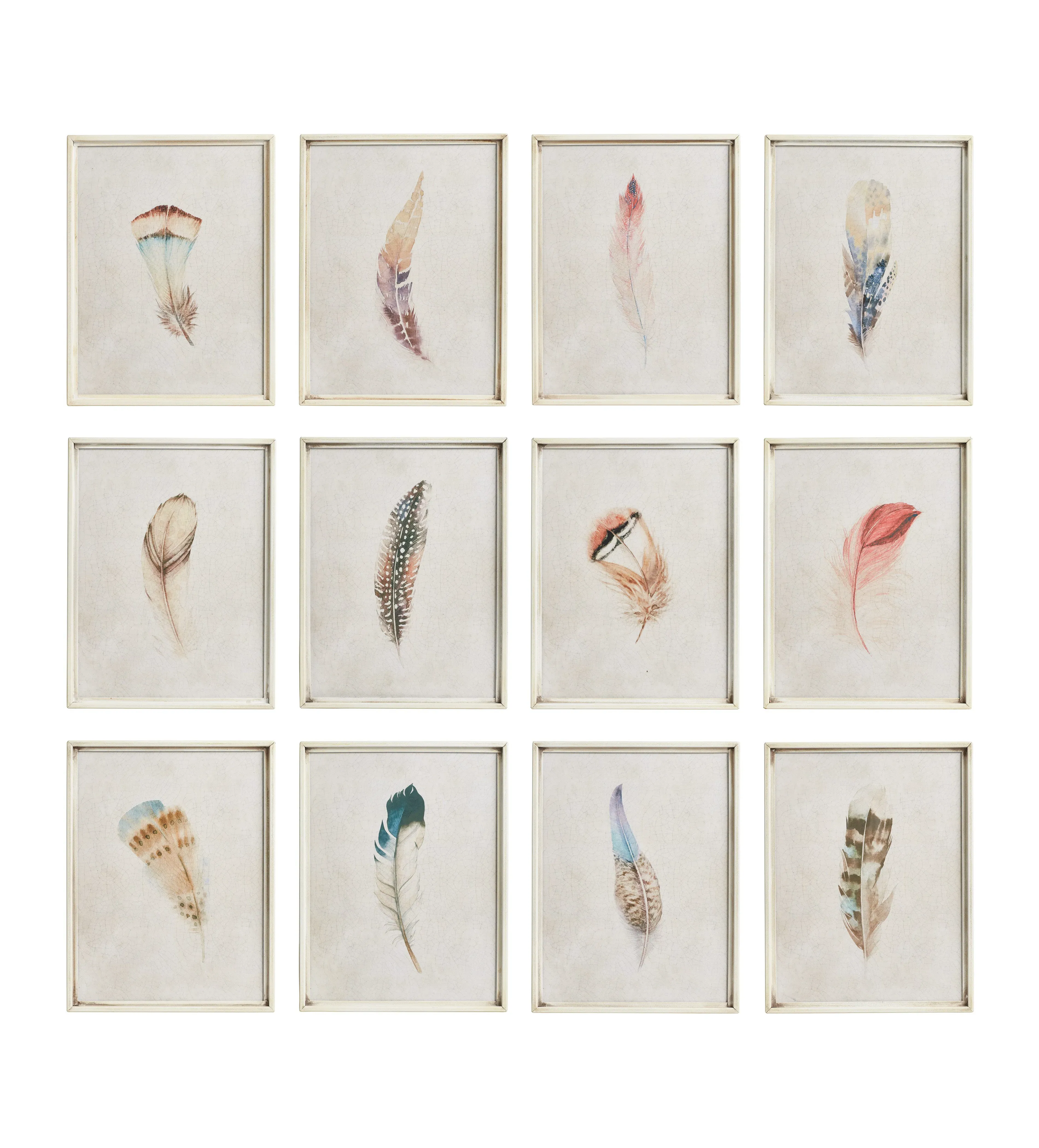 Set of 12 Framed Feather Prints - Multi, Print image
