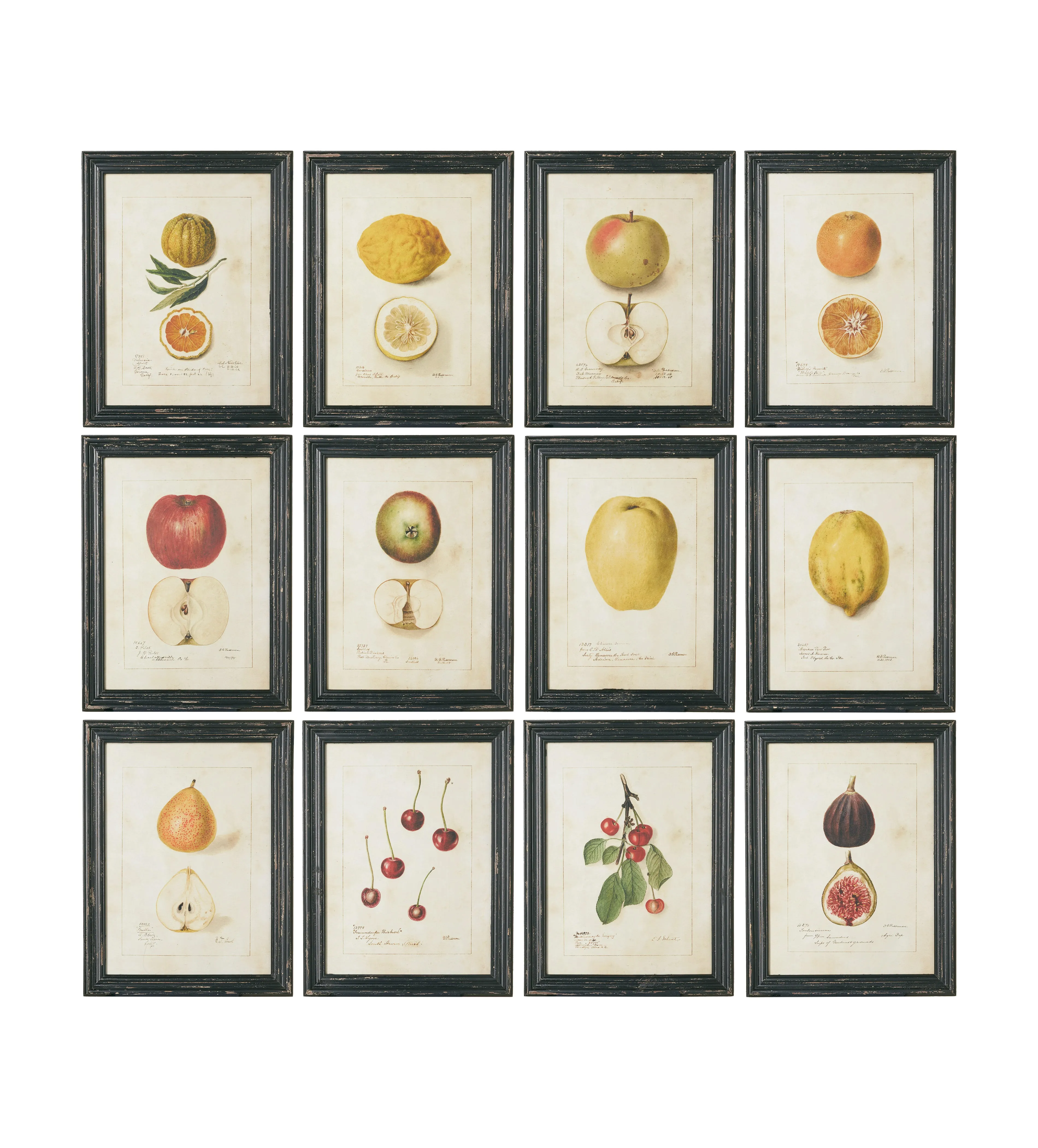 Set of 12 Framed Prints - Black, Wood image
