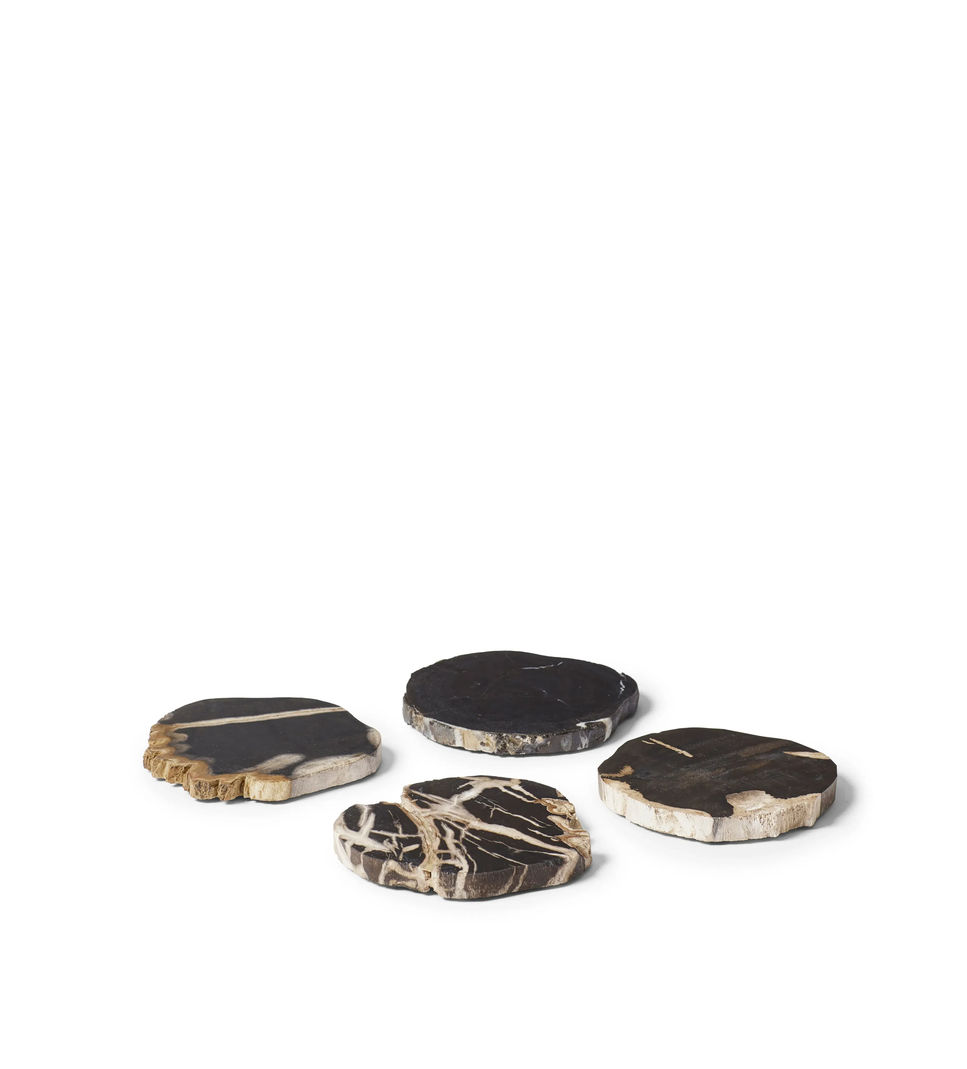 Set of 4 Petrified Wood Coasters - Natural image