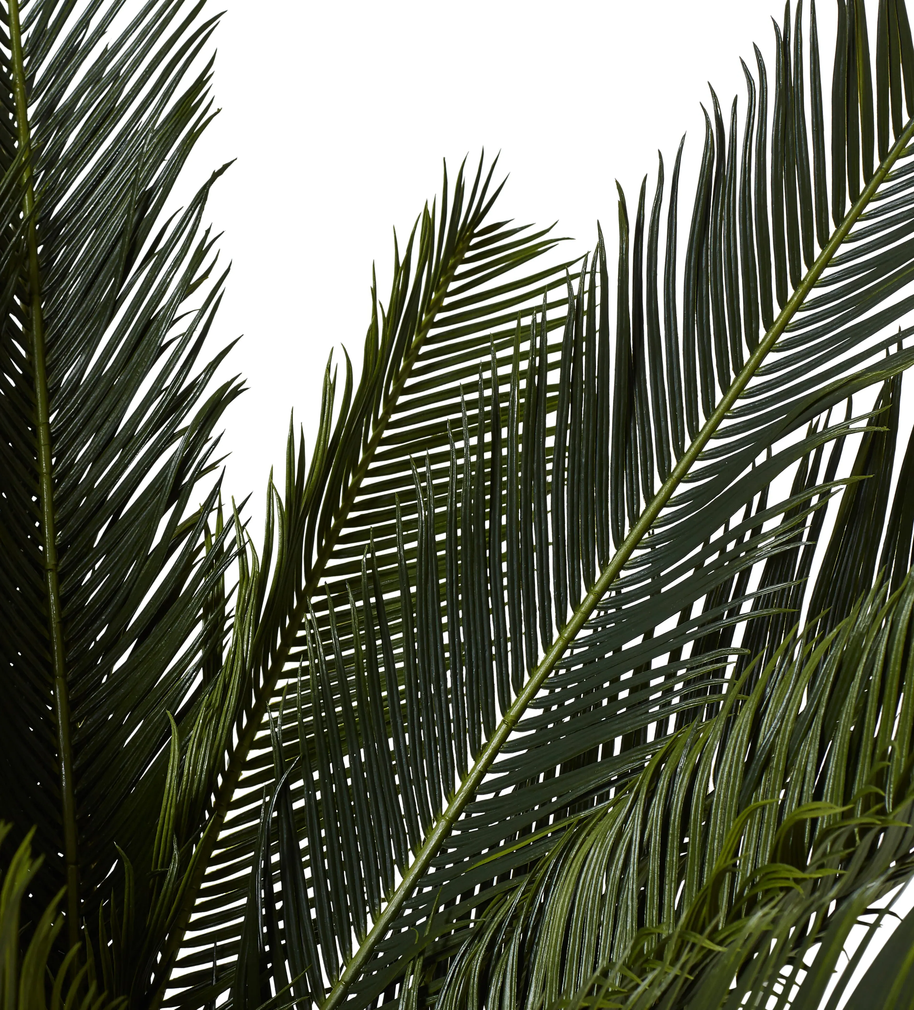 Short Potted Palm Tree - Green, Faux