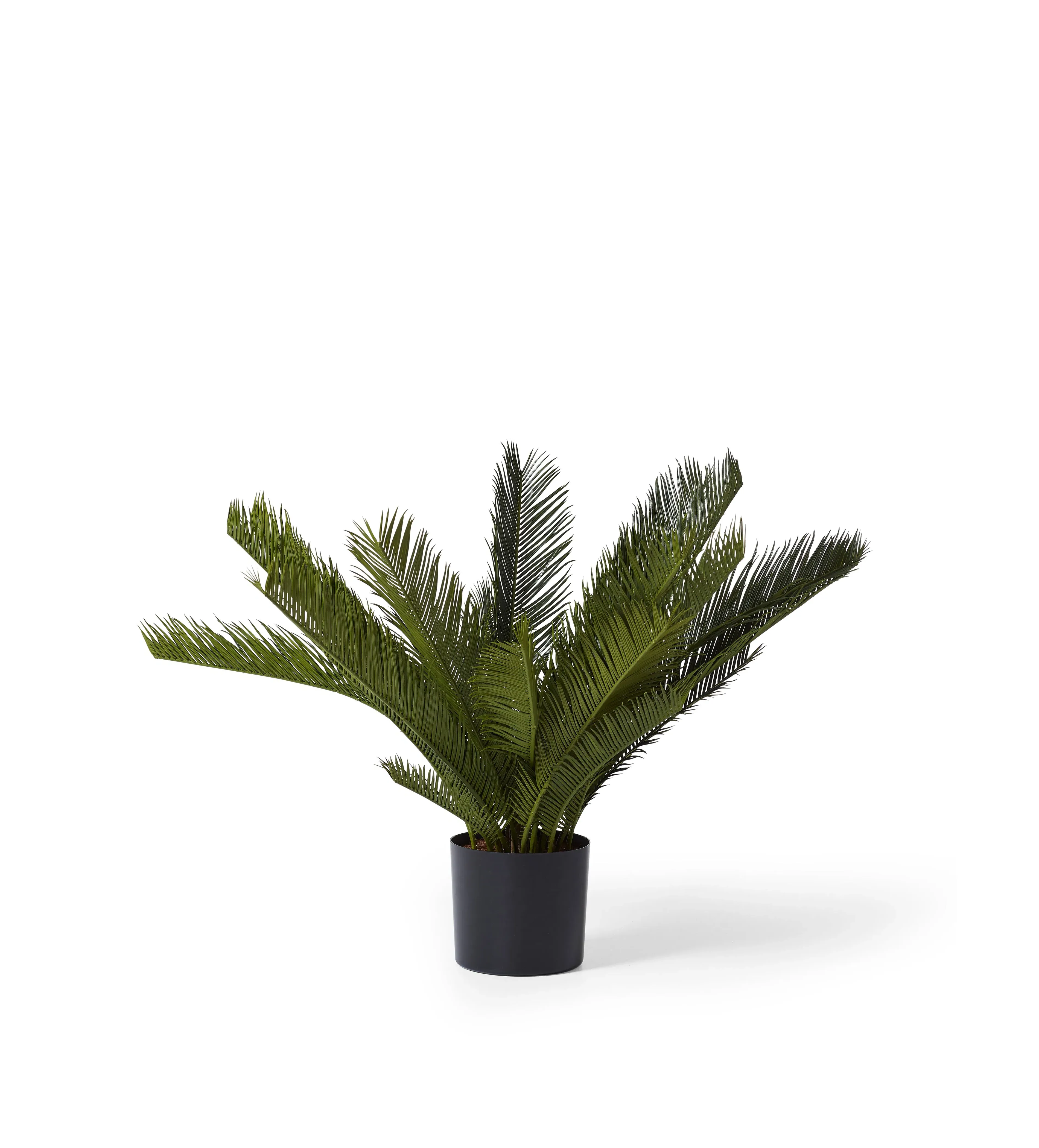 Short Potted Palm Tree - Green, Faux image
