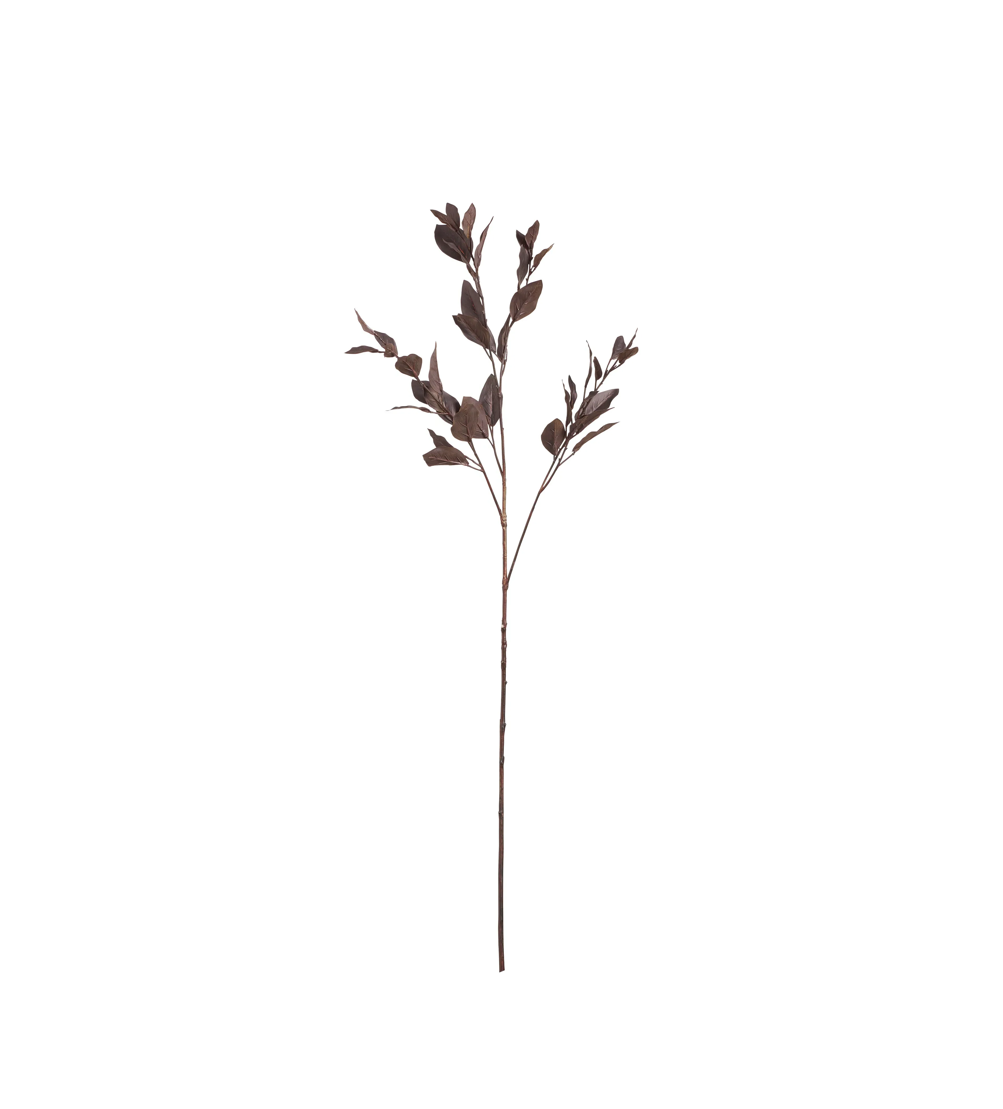 Single Eucalyptus Stem - Dark Brown, Faux