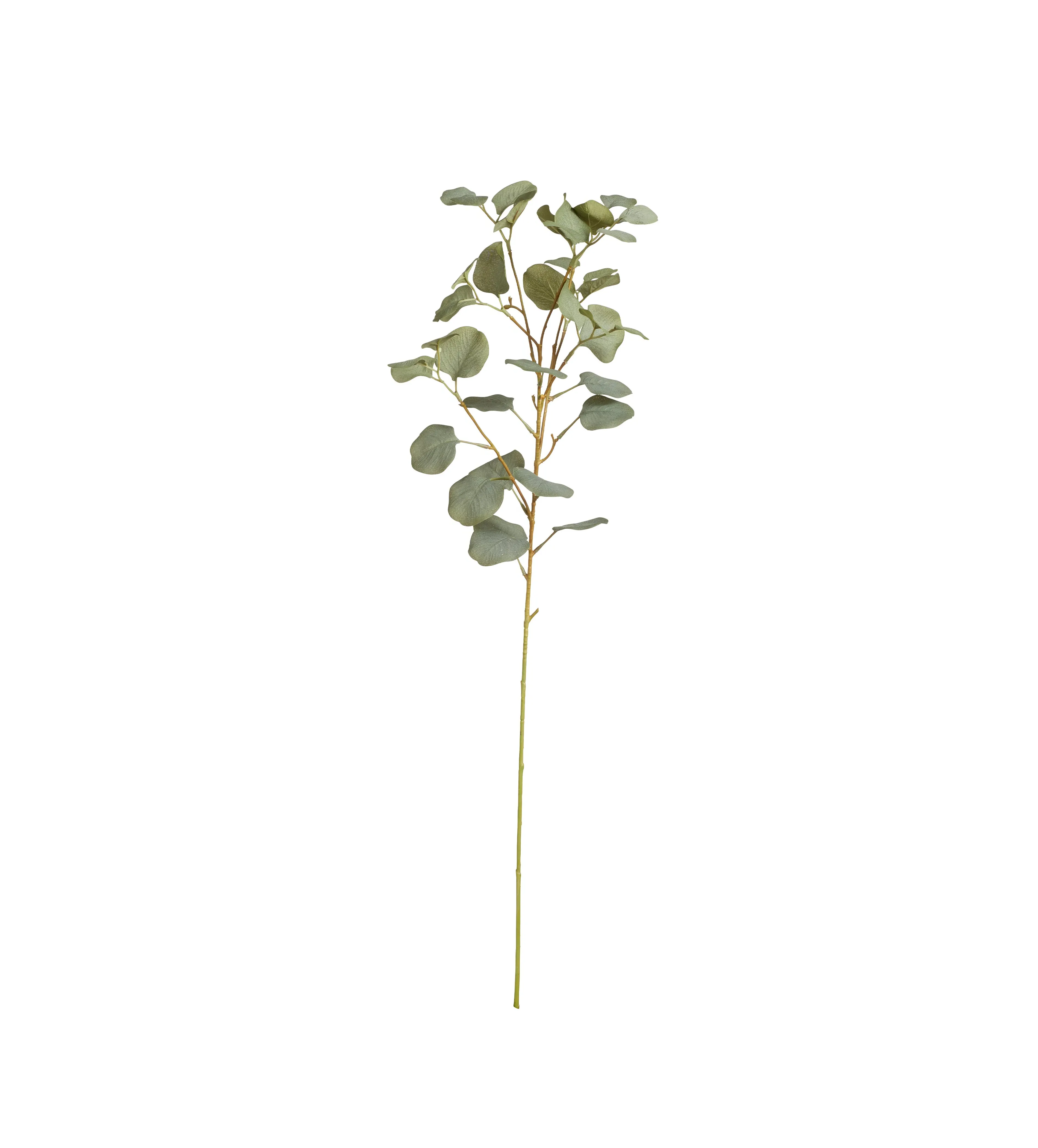 Single Eucalyptus Stem - Pale Green, Faux