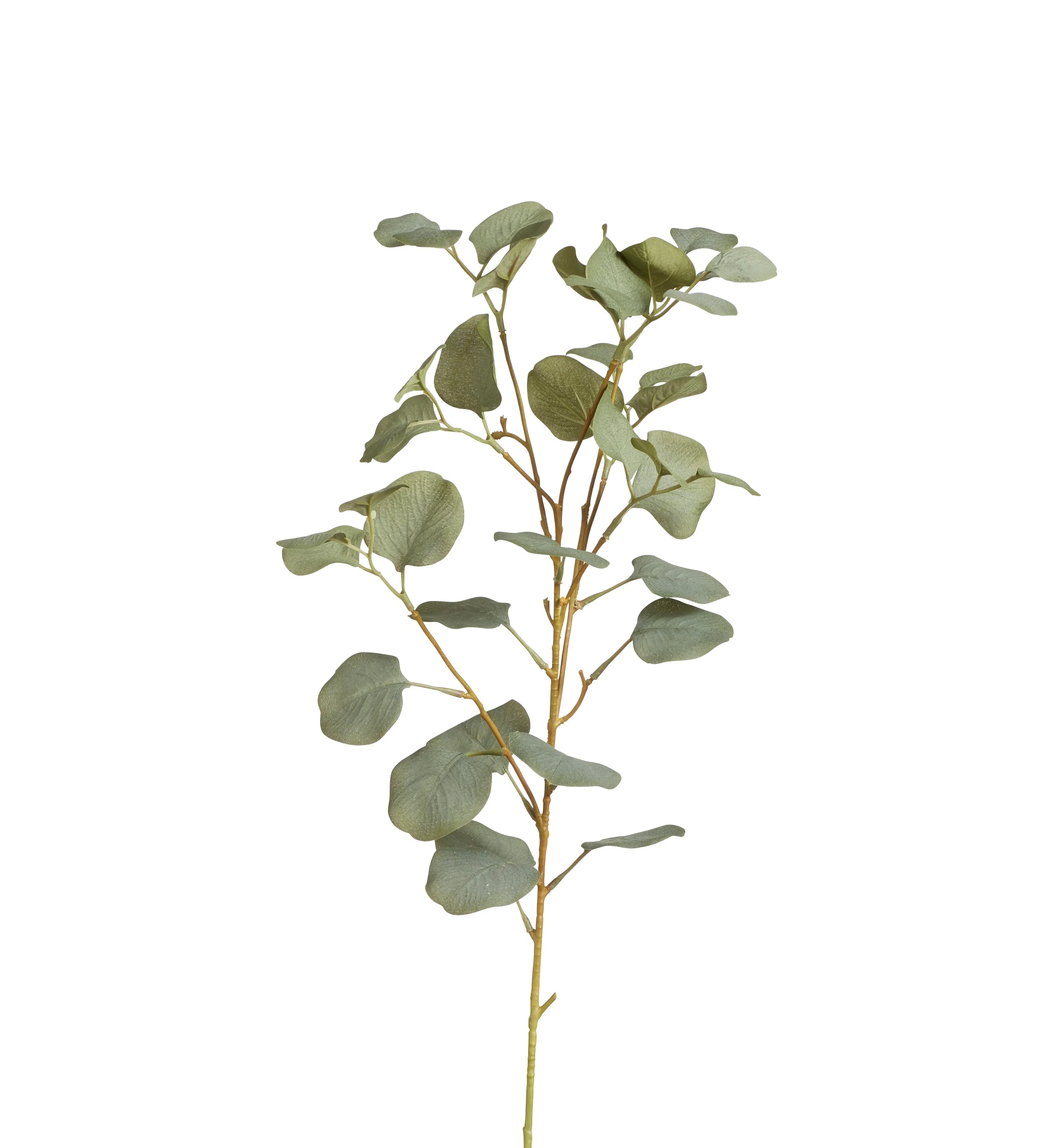 Single Eucalyptus Stem - Pale Green, Faux