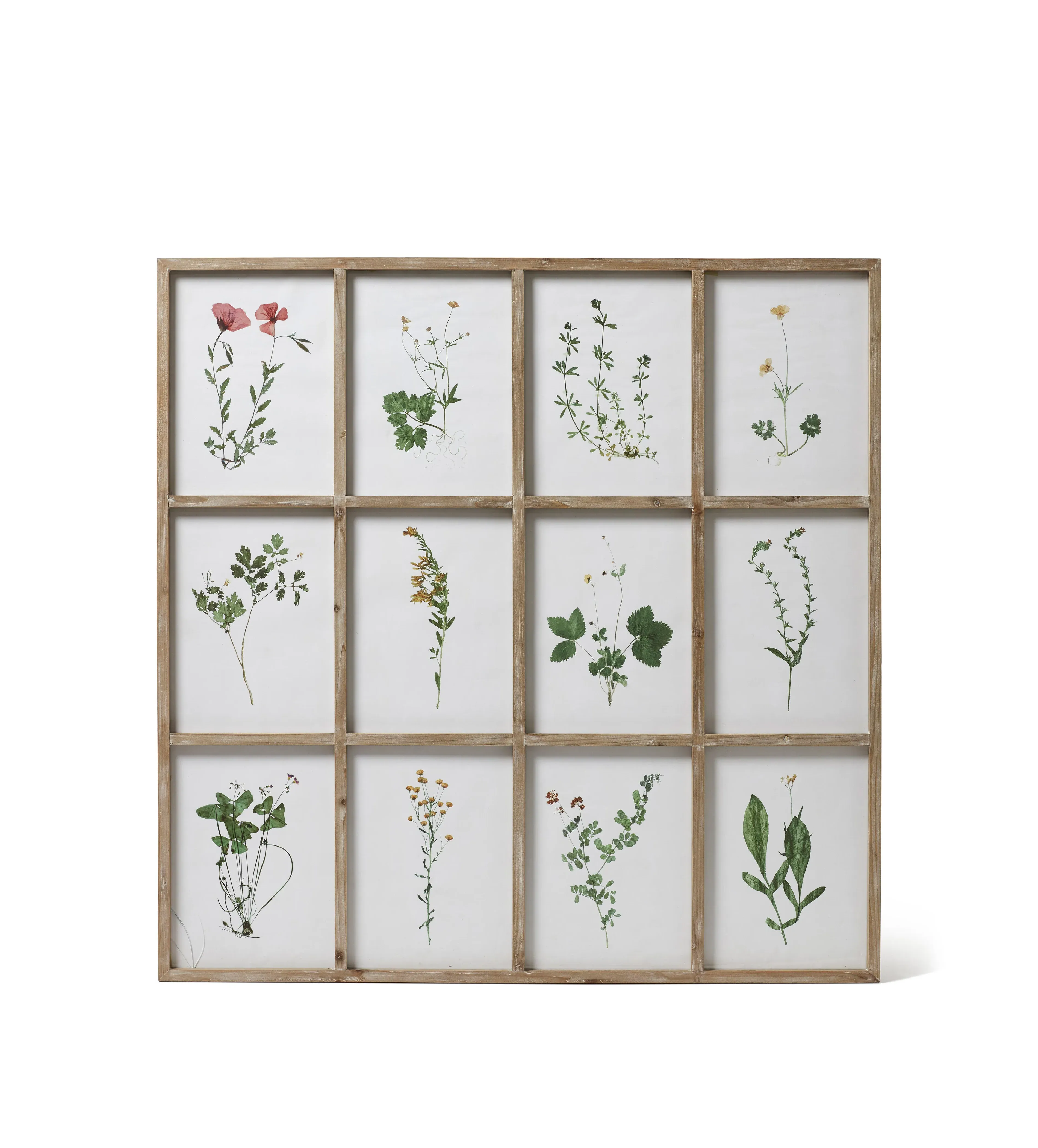 Window-Style Frame with Flower Prints - Natural image