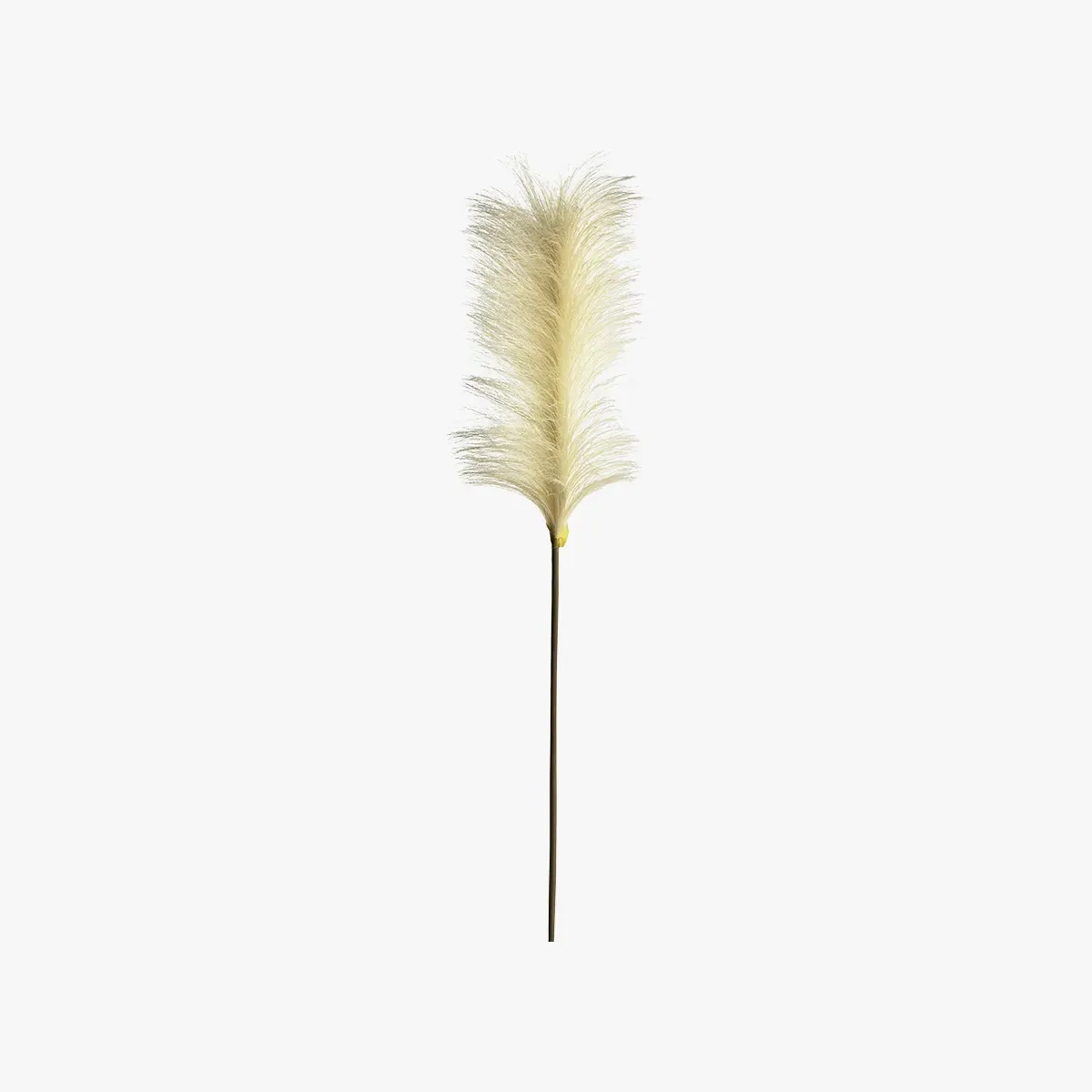 5-Piece Pampas Feather Stems - Ivory, Faux