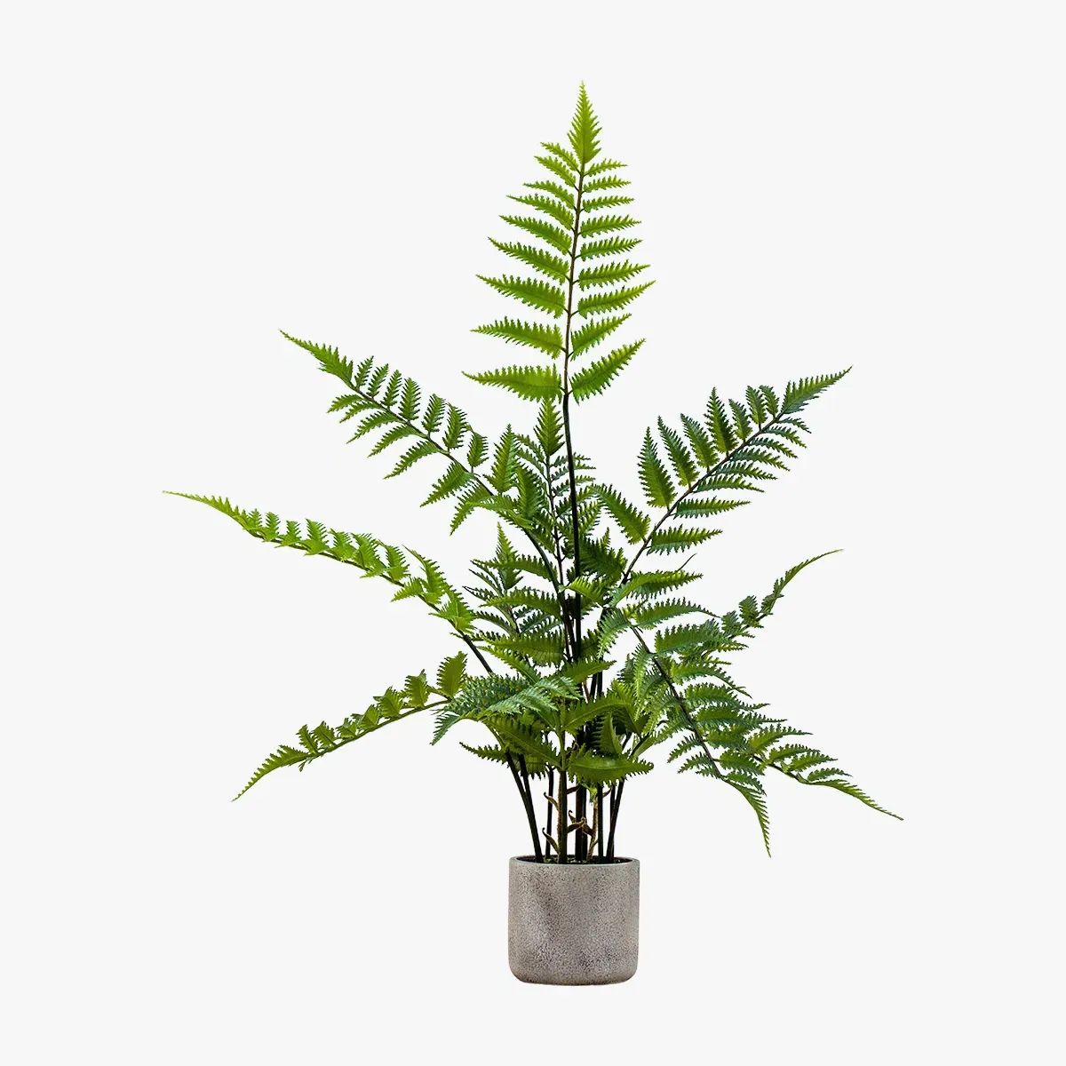 Faux Fern Plant - Green, Stone Grey Pot image