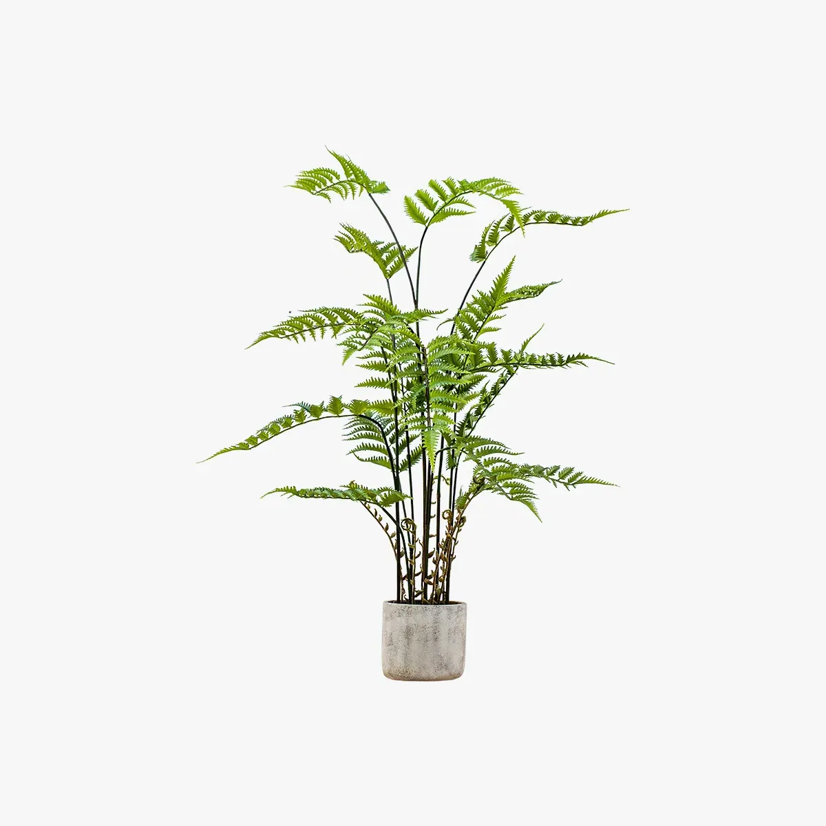 Large Faux Fern Plant - Green, Stone Grey Pot