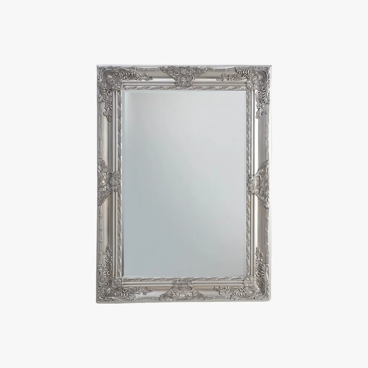 Rectangle Mirror with Carved Details - Silver image