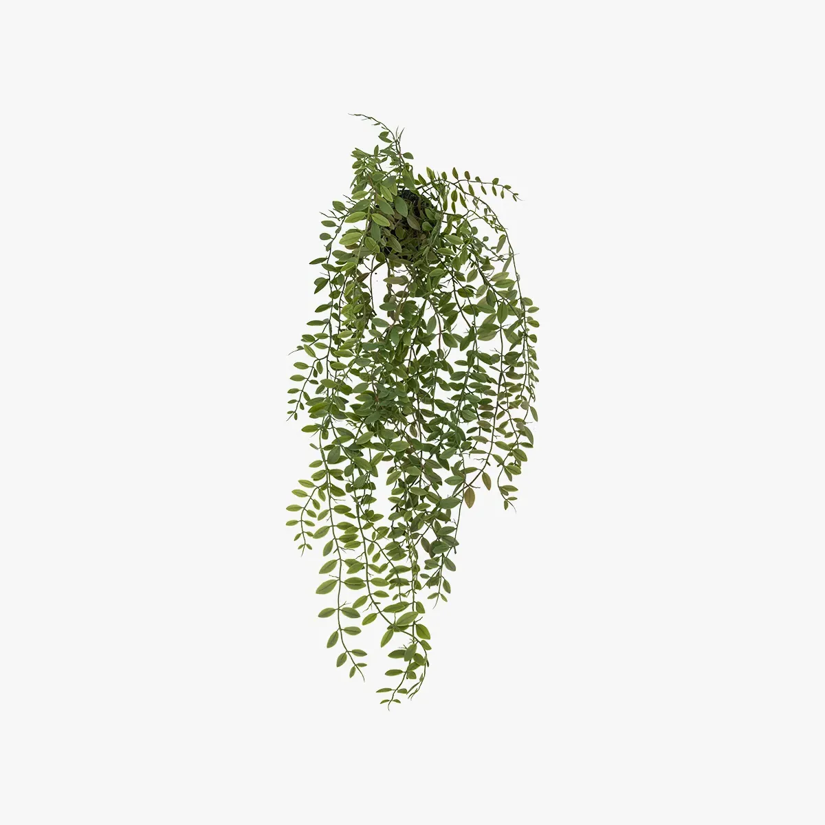 Trailing Faux Fern Plant - Green, Artificial